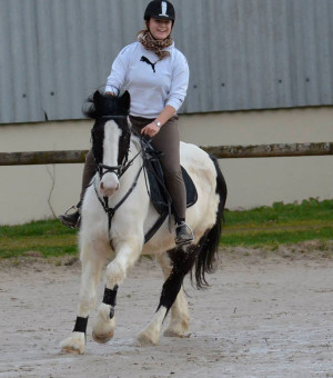 Le centre équestre, Le Cavaletti Nivernais vous propose des cours d'équitation près de Nevers dans la Nièvre