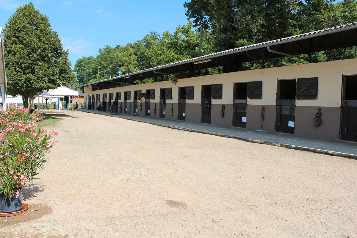 Pension de chevaux, utilisation du cheval