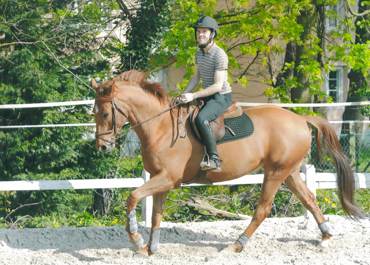 Le centre équestre, Le Cavaletti Nivernais vous propose des cours d'équitation près de Nevers dans la Nièvre