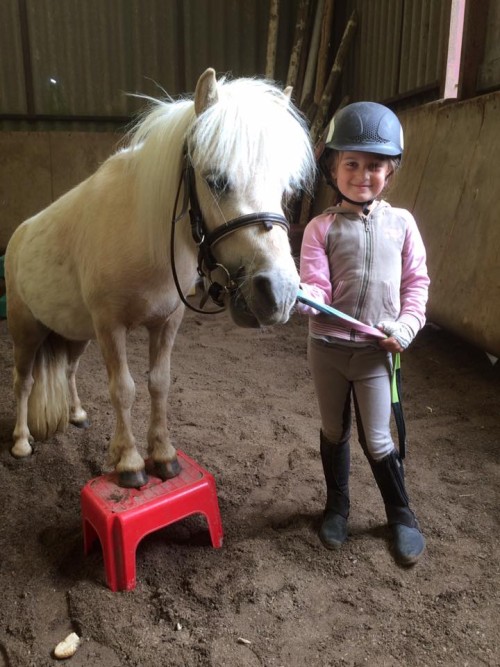 Le cavaletti Nivernais, centre équestre près de Nevers dans la Nièvre