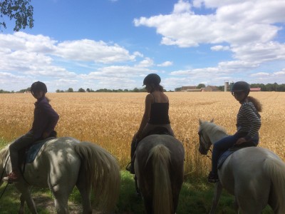 Le cavaletti Nivernais, organisateur de Balade à Chevale prés de Nevers dans la Nièvre