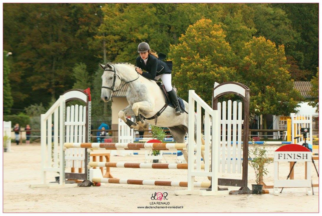les concours d'équitation du cavaletti nivernais près de Nevers dans la Nièvre