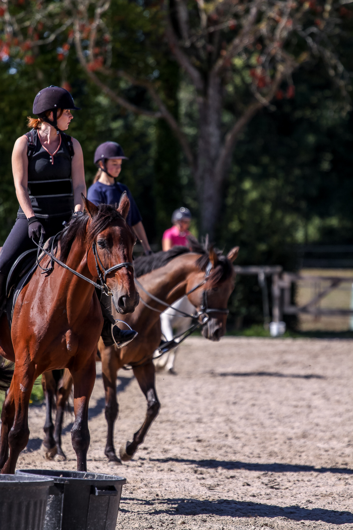 Le cavaletti Nivernais, centre équestre près de Nevers dans la Nièvre 