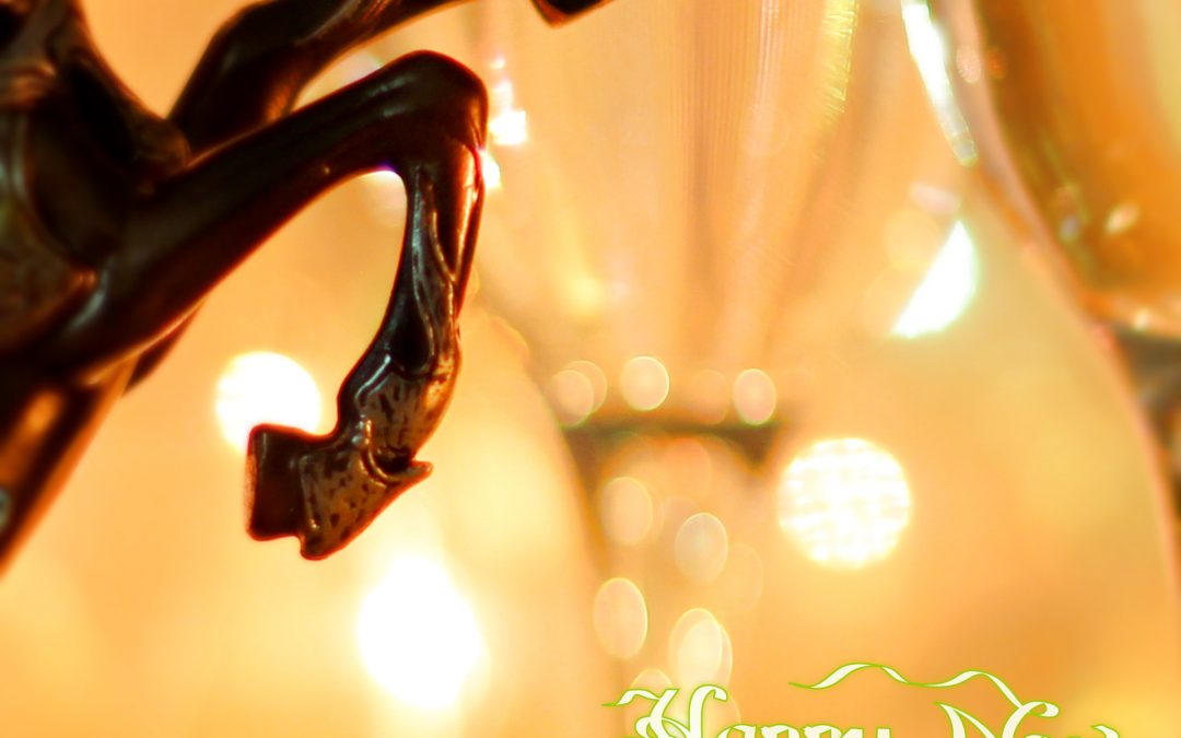BONNE ANNEE !!!