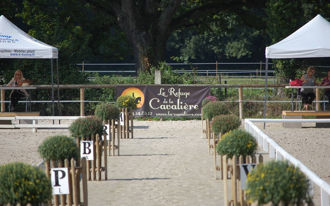 Retrouvez tous vos poneys et chevaux préférés dès le lundi 17 Août !