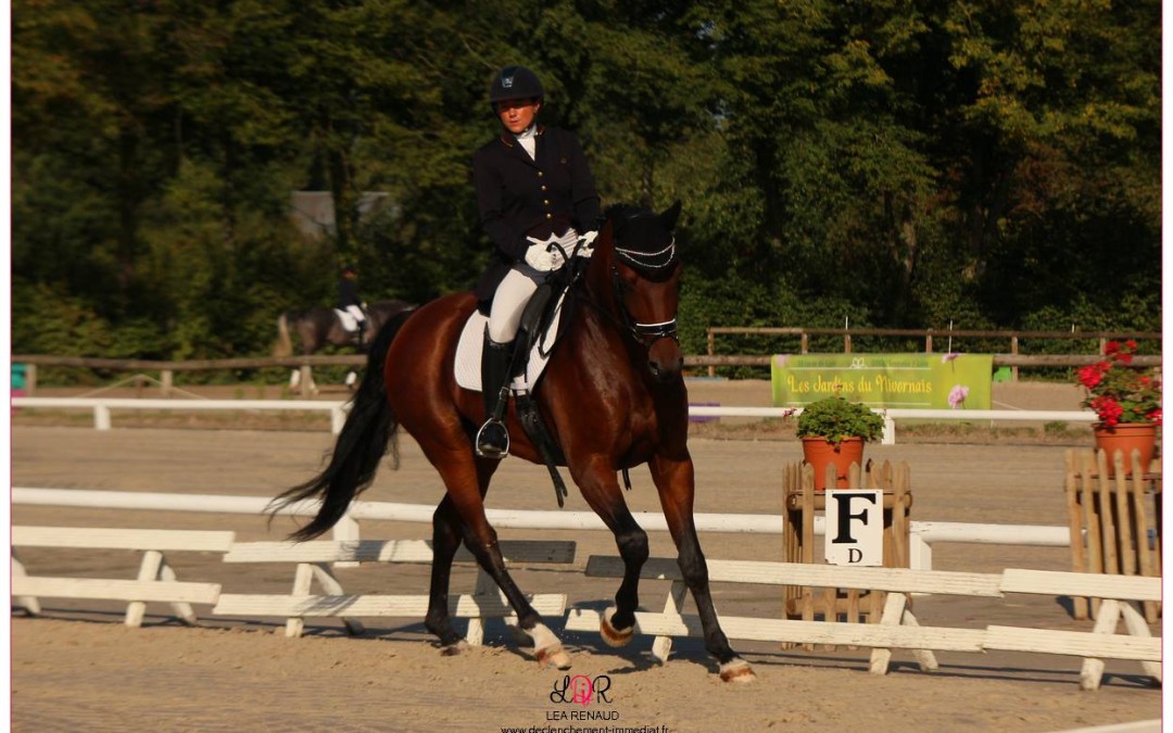HORAIRES du dressage du 6 au 8 mai