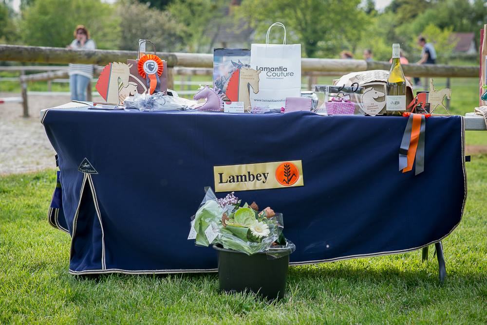 Résumé du concours de dressage mai 2016