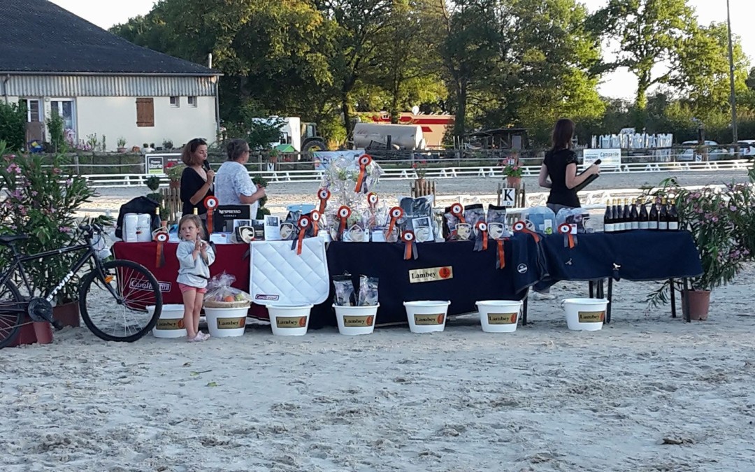 Le Dressage en image